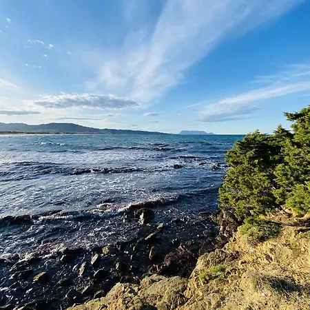 La Pavoncella Sul Mare