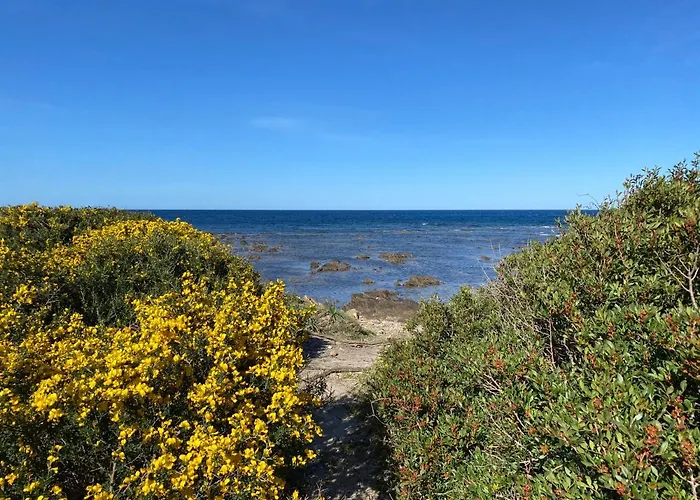 度假居 La Pavoncella Sul Mare