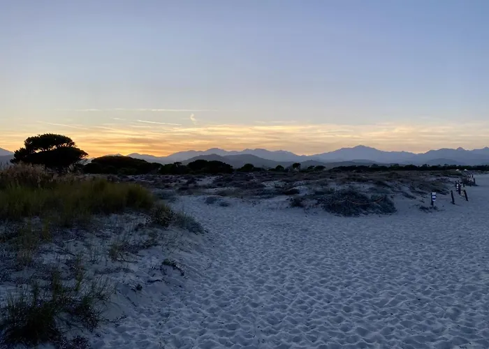 La Pavoncella Sul Mare * 塔瑙内拉