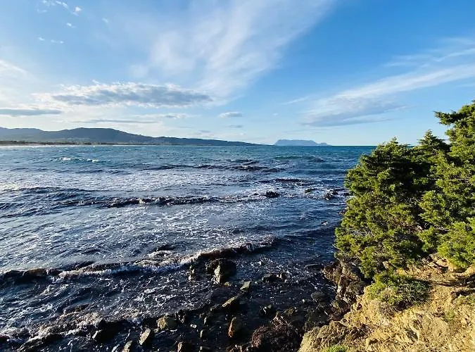 La Pavoncella Sul Mare